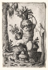 Fiú gyümölcskosárral, 1500-as vagy 1600-as évek. alkotó: Unbekannt