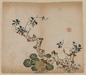 Elágazó csonk, 1368-1644. alkotó: Unbekannt