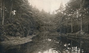 Bransome Chine and Lake, 1910 alkotó: Unbekannt