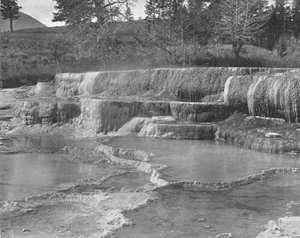 Brown Sulphur Springs, Yellowstone Nemzeti Park, USA, 1900 körül. alkotó: Unbekannt