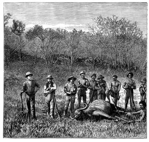 Bivalyvadászok a Transvaalban, Dél-Afrika, 1890 alkotó: Unbekannt