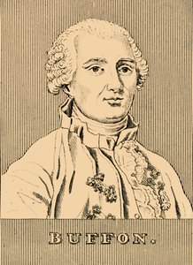Buffon, 1707-1788, 1830. alkotó: Unbekannt
