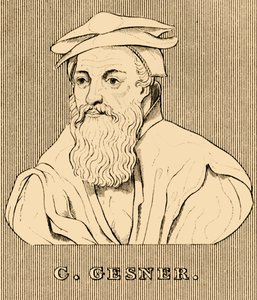 C. Gesner, 1516-1565, 1830 alkotó: Unbekannt