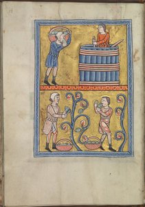 Naptár, szeptember, szőlőt szedő és taposó férfiak - Akvitániai Eleanor zsoltára (kb. 1185) - KB 76 F 13, fólium 009v alkotó: Unbekannt