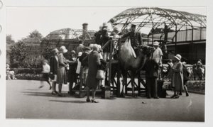 Tevejárás, 1930 körül alkotó: Unbekannt