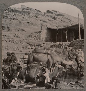Tevevonat Jerashból, öntözés Elizeus kútjánál, 1900 alkotó: Unbekannt