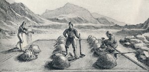 Cancha De Beneficiar, avagy az arany és ezüst egyesítésének módja, c1826, 1911 alkotó: Unbekannt