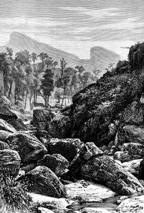 Ceylon, Sri Lanka, 1895 alkotó: Unbekannt