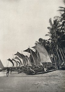 Ceyloni kitámasztós tengeri halászhajók, 1926 alkotó: Unbekannt