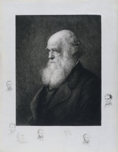 Charles Darwin angol természettudós, 1860-as évek alkotó: Unbekannt