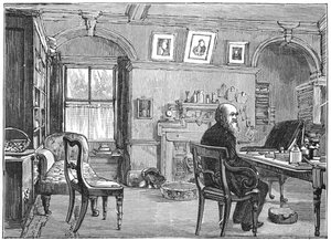 Charles Darwin angol természettudós tanulmányában, c1870 1887 alkotó: Unbekannt