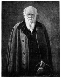 Charles Darwin, híres természettudós és gondolkodó, 1900 alkotó: Unbekannt