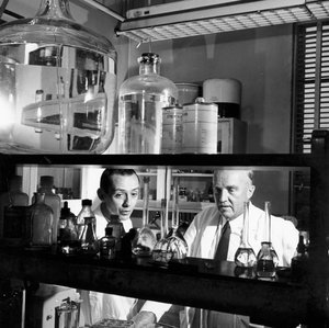 Charles Herbert Best, kanadai fiziológus, 1960 alkotó: Unbekannt