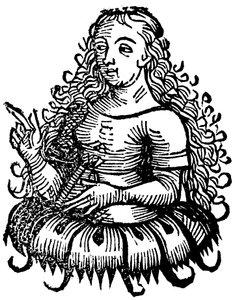 Kimmériai Szibilla, 1493 alkotó: Unbekannt