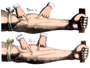 A vérkeringés, 1628 alkotó: Unbekannt