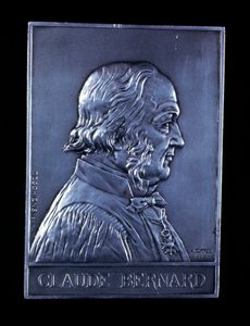 Claude Bernard, 19. századi francia fiziológus, 1913 alkotó: Unbekannt