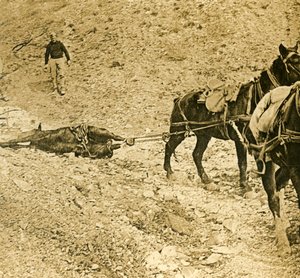 A csatatér megtisztítása, c1914-c1918 alkotó: Unbekannt