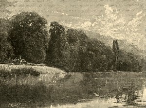 Cliefden Woods, 1898. alkotó: Unbekannt