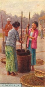 Kávé, 3. A bab héja, Java, 1928 alkotó: Unbekannt