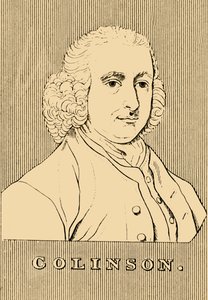 Collinson, 1694-1768, 1830. alkotó: Unbekannt