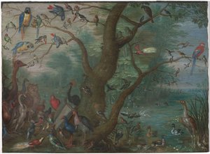 Madarak koncertje, 16601670. alkotó: Unbekannt