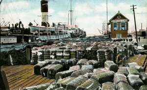 Cotton Wharves, New Orleans, Louisiana, USA, XX. század eleje alkotó: Unbekannt
