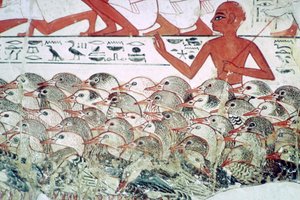 A libák számolása: falfestmény töredéke Nebamun sírjából, Théba, Egyiptom, Kr.e. 1350 alkotó: Unbekannt