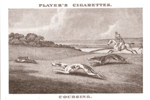 Coursing-11, 1924. alkotó: Unbekannt