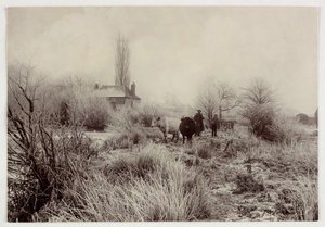 "Tehenek fagyos mezőn", 1890 alkotó: Unbekannt