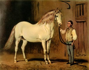 „Cream State Carriage Horse of Queen Victoria