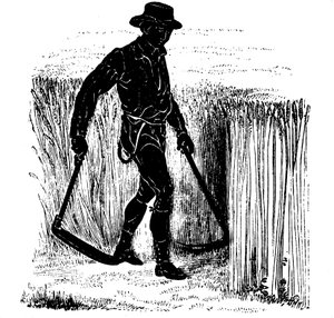 Vetésforgó: aratás Hainault kaszával, 1855 alkotó: Unbekannt