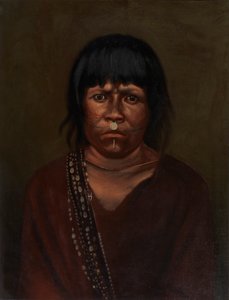 Cunivo indián, kb. 1890-1892. alkotó: Unbekannt