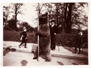Táncoló medve, 1905 alkotó: Unbekannt