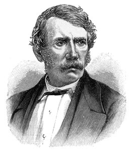 David Livingstone, 19. századi skót misszionárius és felfedező, 1900 alkotó: Unbekannt