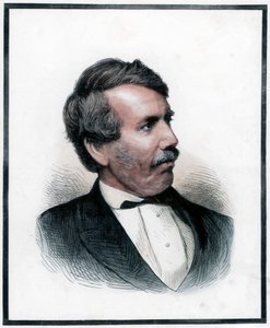 David Livingstone skót misszionárius és afrikai felfedező, 1874 alkotó: Unbekannt