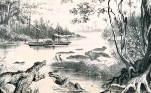 David Livingstone a Zambeziben, Afrika, 1852-1864 c1878 alkotó: Unbekannt