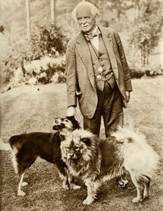David Lloyd George, 1935. alkotó: Unbekannt