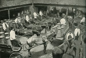 Szállítási kisteherautók az 1902-es Vauxhall-i Messrs, Freeth és Pococks központi raktárból. alkotó: Unbekannt