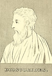Dioscorides, i.sz. 40-90, 1830 alkotó: Unbekannt