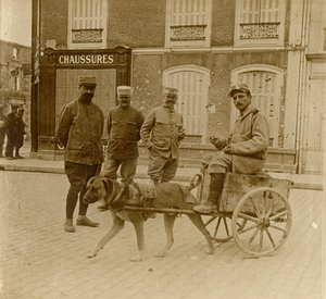 Kutyakocsi, Franciaország, c1914-c1918 alkotó: Unbekannt