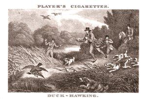 Duck-Hawking, 1924. alkotó: Unbekannt