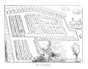 Kacsa-sziget, 1870 alkotó: Unbekannt