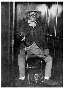Jeremy Bentham képmása balzsamozott fejével, University College, London, 1956 alkotó: Unbekannt