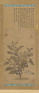 Padlizsán, Ming-dinasztia, 1368-1644. alkotó: Unbekannt
