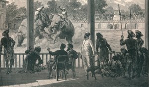 Elefántcsata Barodában, 1896 alkotó: Unbekannt