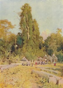 Teakfa elefántok, 1924 alkotó: Unbekannt