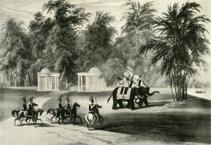 Elefántok és testőr a Barrackpore Parkban, 1820, 1925. alkotó: Unbekannt