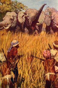 Elephants in Chase, c1850 c1912 alkotó: Unbekannt