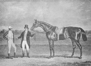 Euklidész, második a St. Legerben, 1839, XII Károllyal vívott holtverseny után, 1839, 1911 alkotó: Unbekannt