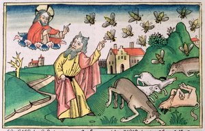2Móz 8:20-32: Mózes és a légyraj, Egyiptom hét csapásának egyike alkotó: Unbekannt